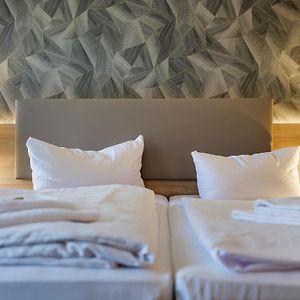 Kamer met Twee Aparte Bedden